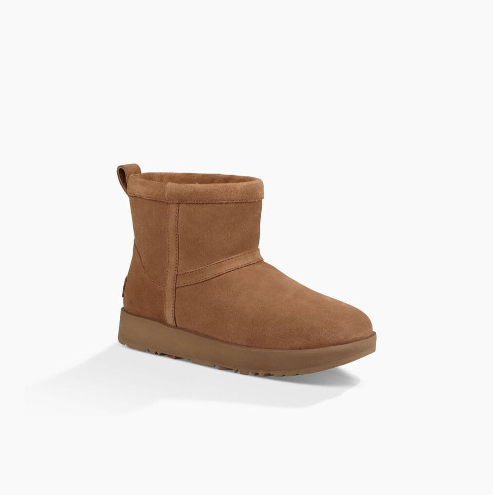 UGG Classic Mini Weather - Boots Dame - Brune (NO-F241)